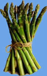 asparagus (1)